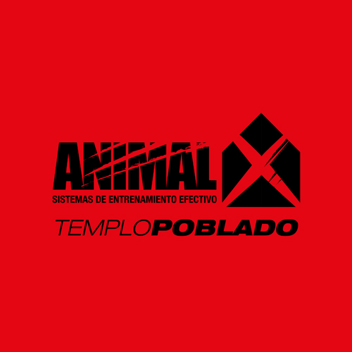 Animal X Poblado | Centro Comercial Monterrey Medellín