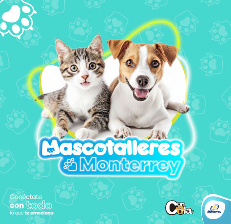 Servicios Monterrey | Mascotalleres de mayo