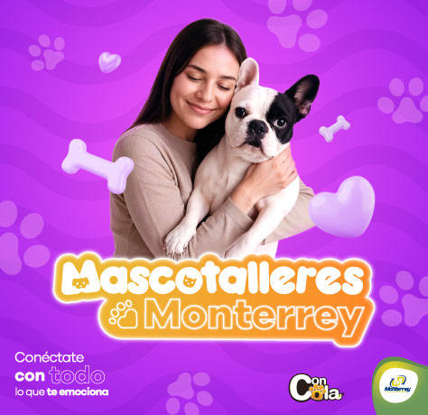 Servicios Monterrey | Mascotalleres Monterrey agosto 2025