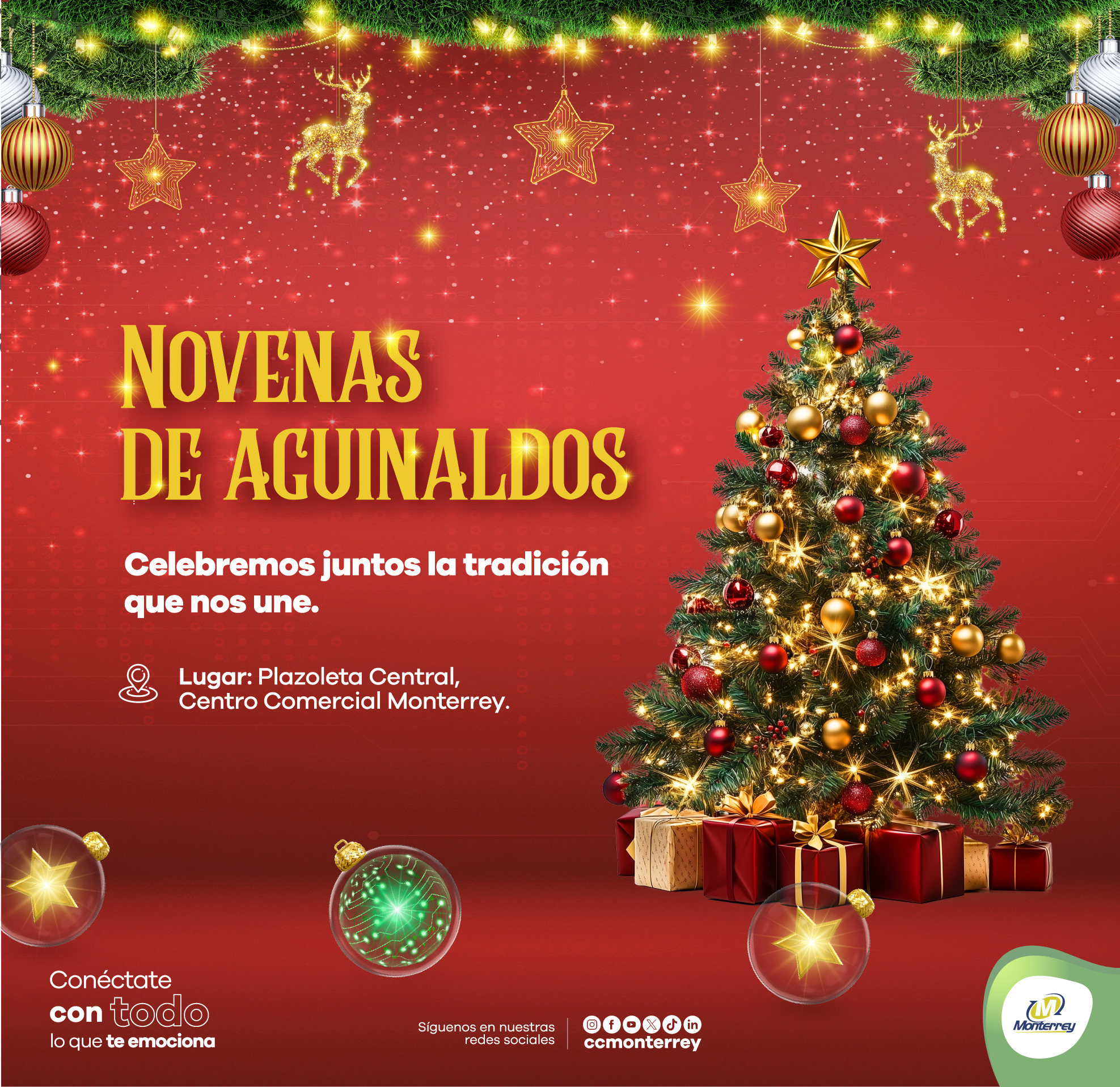 Servicios Monterrey | Novena de Aguinaldos